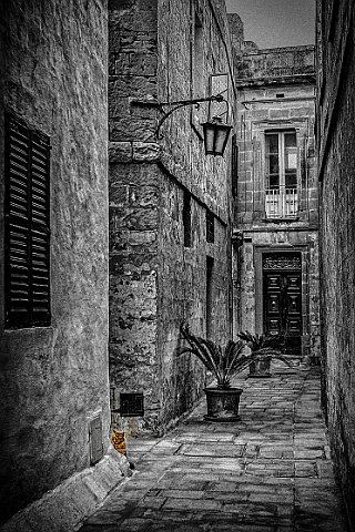 Valletta_1.jpg